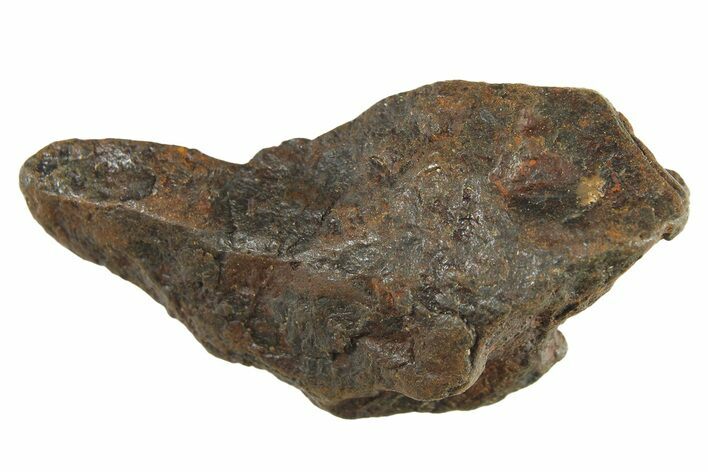 Canyon Diablo Iron Meteorite ( g) - Arizona #287680